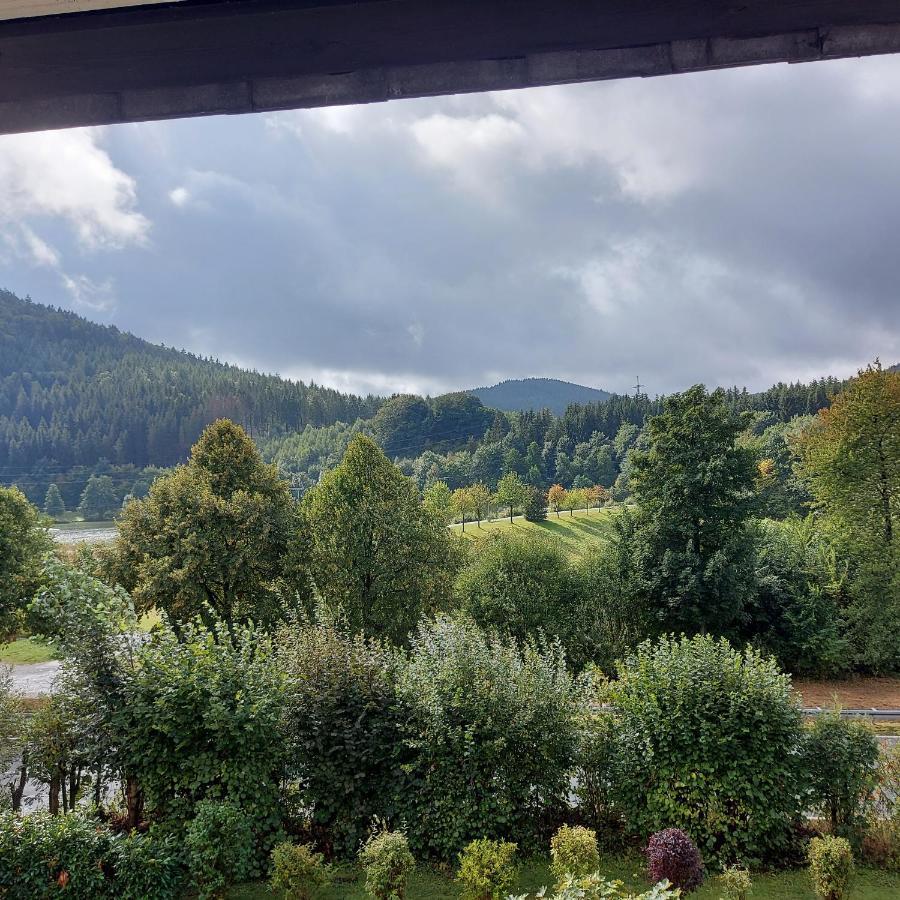 Ferienwohnung Am See Winterberg Exterior photo